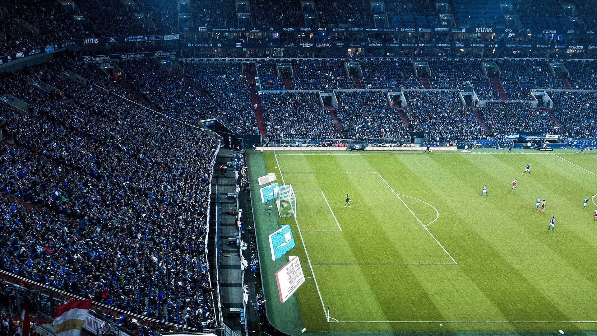 狼队主场取胜，打破连败纪录，球队未来一片光明，狼队球胜狼