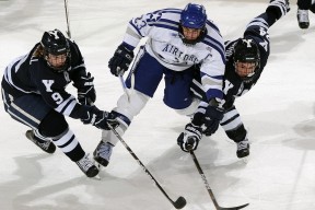 开云备用-_国际化赛事：不同国家选手激烈发飙_，国际比赛