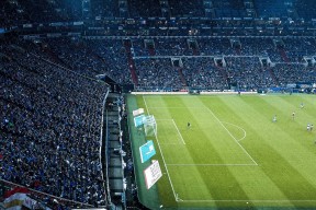 狼队主场取胜，打破连败纪录，球队未来一片光明，狼队球胜狼